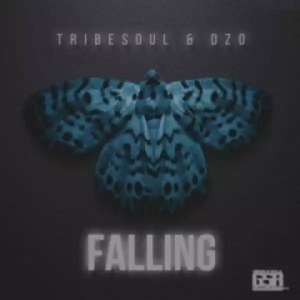 Tribesoul X Dzo - Falling (Original Mix)